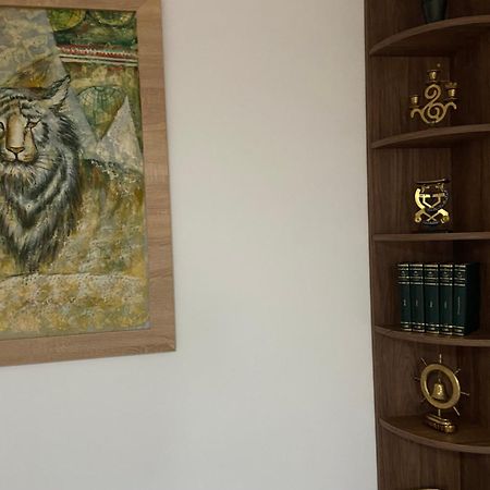 Вилла Casa Mountain View Брашов Экстерьер фото