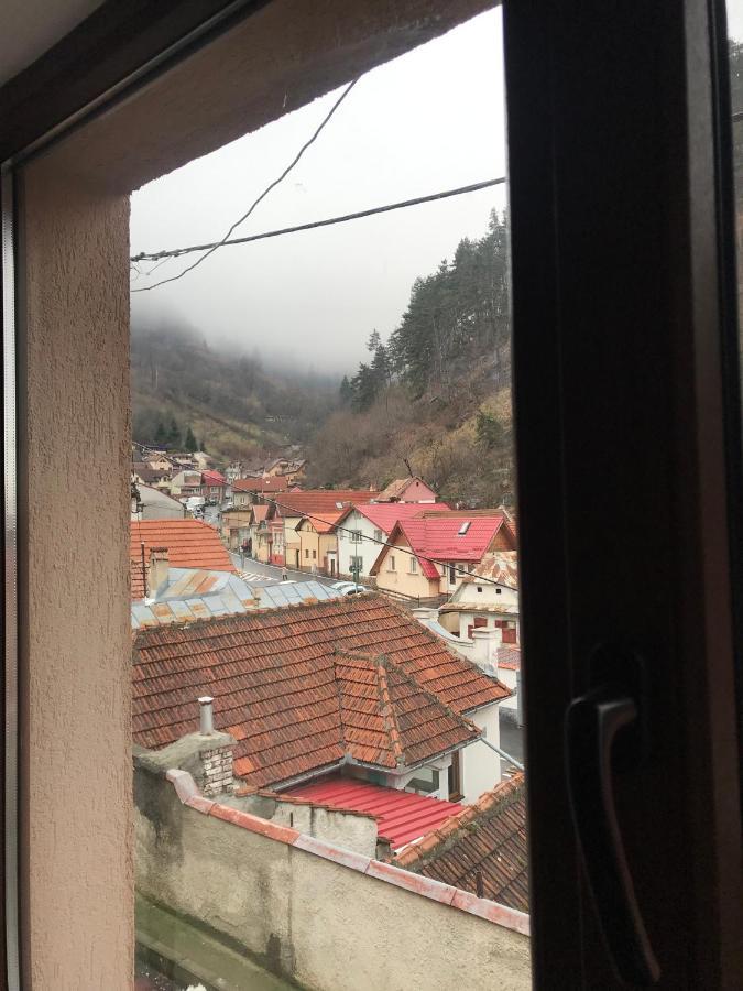 Вилла Casa Mountain View Брашов Экстерьер фото