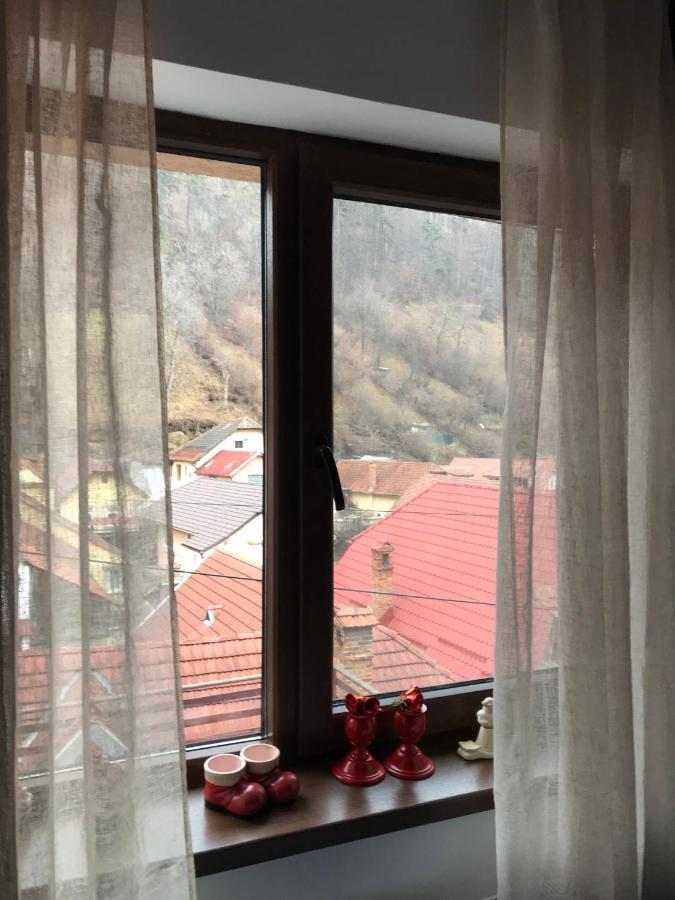 Вилла Casa Mountain View Брашов Экстерьер фото
